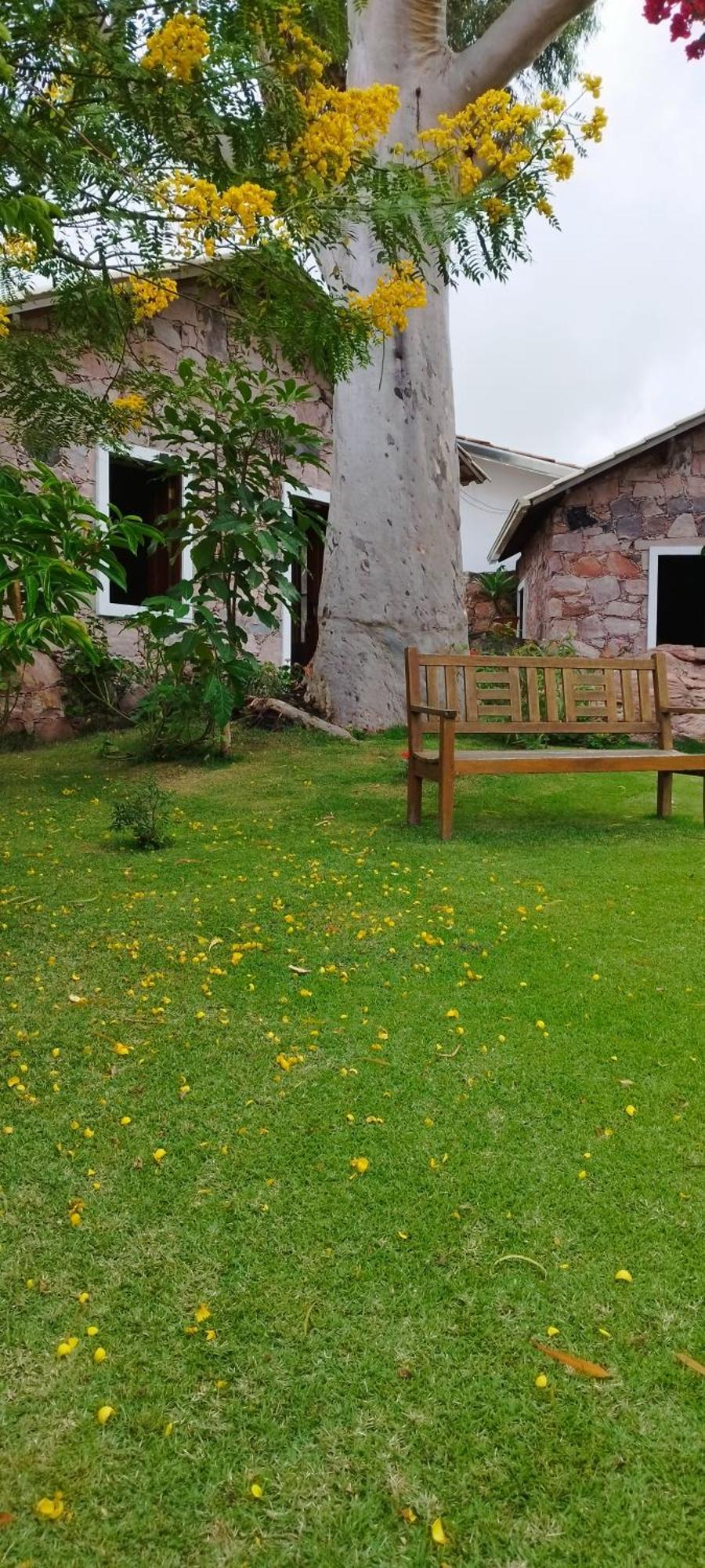 Oforasteiro Villa Mucuge Exterior photo