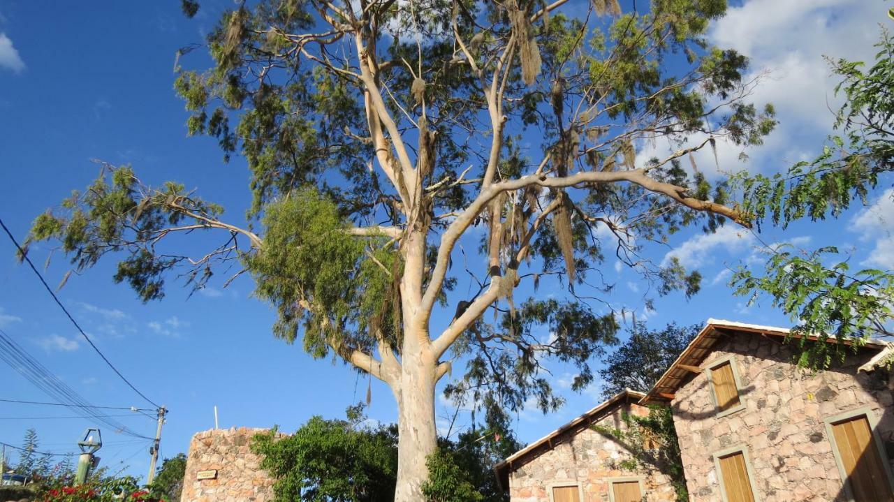 Oforasteiro Villa Mucuge Exterior photo